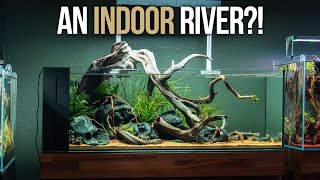 River Aquarium Setup in a UNS 90LA Peninsula
