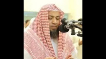 سورة الزمر | أحمد السعيد مندور