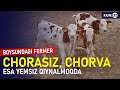 Boysunda chorvodor fermerlar nega yerga zor?