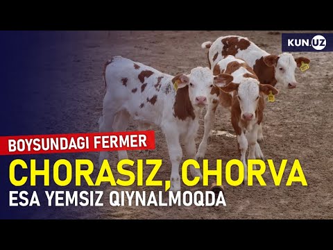 Video: Fermerlar Me'morlari