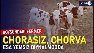 Boysunda chorvodor fermerlar nega yerga zor?