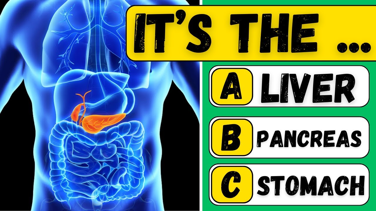 Can You Pass This Human Body Quiz? | General Knowledge Quiz |40 ...