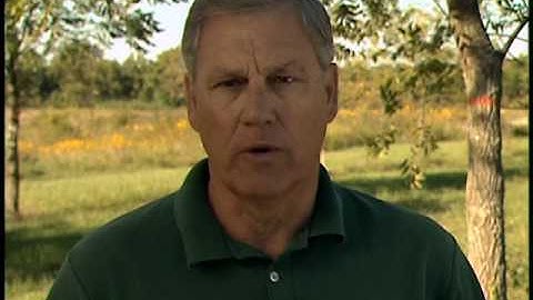 Agroforestry Practices - Silvopasture