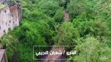 تلاوة خاشعة للشيخ شعبان النجيمي (2) - إمام جامع سوق السودة