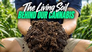 The Living Soil Behind Our Aussie Cannabis