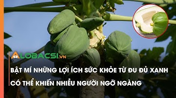 6 lợi ích sức khỏe từ đu đủ xanh có thể bạn chưa biết