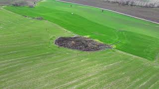 30 Metrekarede Yatan Dev Yaban Domuzu Net Vuruşlu Keyifli Seyirler