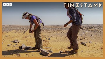 Evidence of Prehistoric Life In A Desert Wasteland | BBC Timestamp