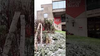 Welcome to winter at Harvard ❄️ #hgse #snow #campus #firstsnow