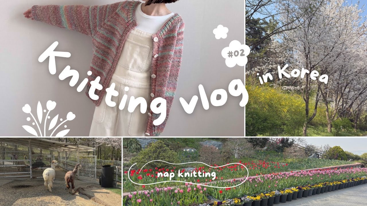 (JP/KR) Knitting vlog #02｜初めて編むトップダウンカーディガン🌈｜お花見🌷🌸｜韓国生活