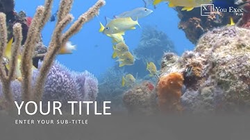 You Exec Plus - Video Backgrounds for Powerpoint and Keynote