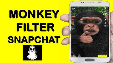 How to get Monkey filter on Snapchat  |  How to get Monkey face filter on Snapchat