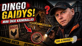 Dingęs GAIDYS | Mini ūkio kriminalas | Giedryz