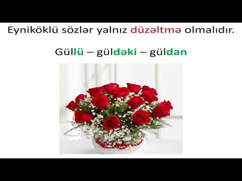 Azərbaycan dili 5-ci sinif 31. Eyniköklü sözlər