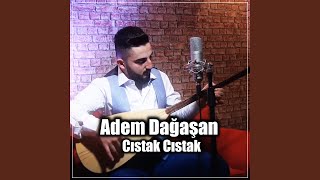 Cıstak Cıstak