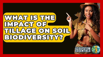 What Is The Impact Of Tillage On Soil Biodiversity? - Ecosystem Essentials