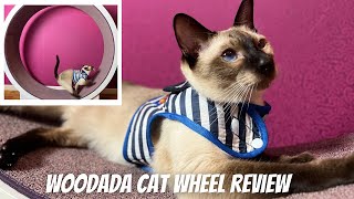 Cat Wheel Review - Woodada From Korea