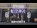 東京の白ヘビ様~ 動画でお参り🙏金運UP【Official video】