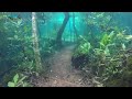 A flooded river turned this hiking trail into an underwater fantasy world