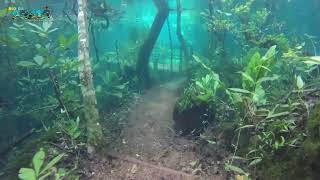 Trilha Submersa no Recanto Ecológico Rio da Prata