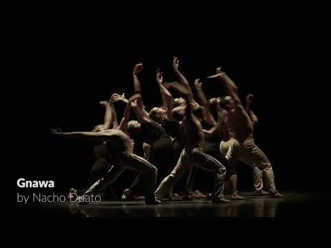 São Paulo Dance Company trailer