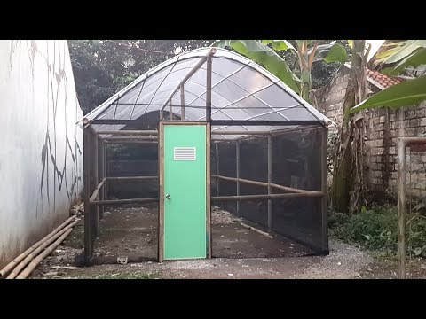 Perkembangan 3 pembuatan green house  bambu  sederhana  dan 