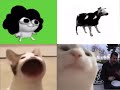 Pop Cat VS  Vibing Cat Vs Polish Cow vs Pelo Plushy Read Description