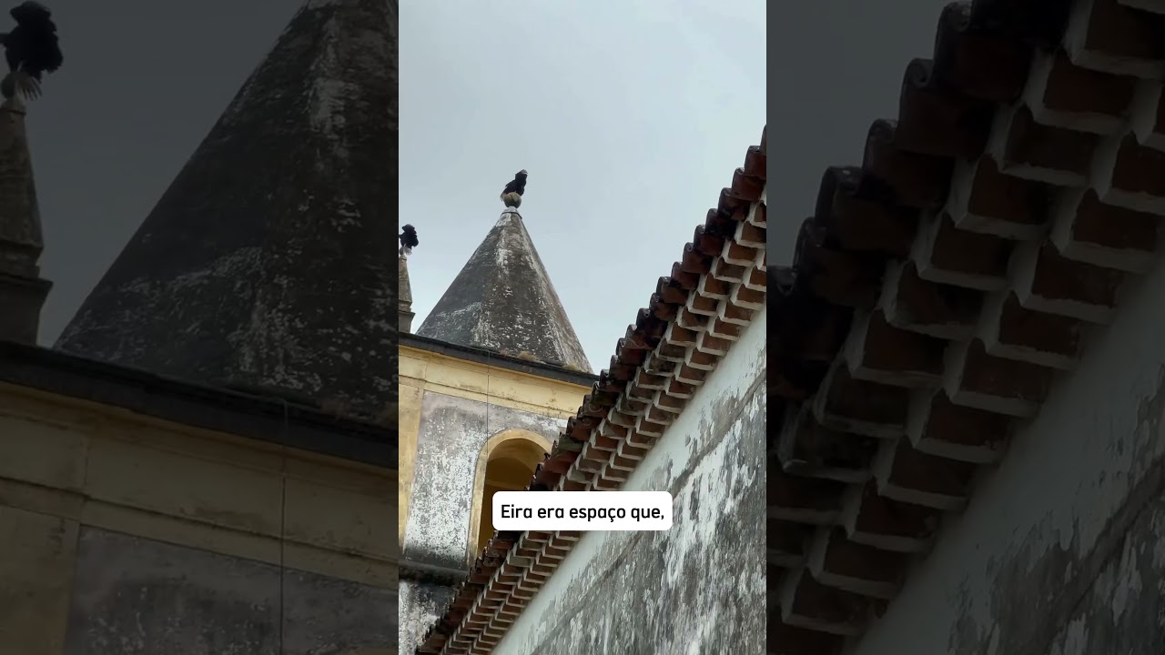 SEM EIRA NEM BEIRA: ORIGEM DA EXPRESSÃO VAI TE SURPREENDER #expressão #gramatica #errejota #olinda
