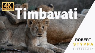 Timbavati: Experience true African safaris