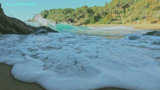 Sun-Kissed Serenity: A Tranquil Beach Escape by Sounds of the Sea 76 views 2 months ago 1 hour, 3 minutes