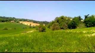 Fenile Di Fano - Un Paradiso In Pericolo