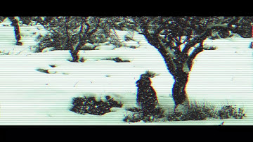 Minimum Effort | Ice_Eyes