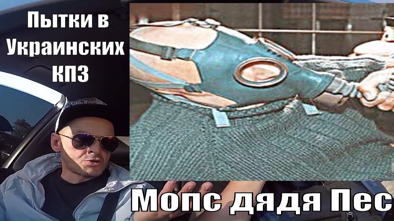Карина мопс дядя пес