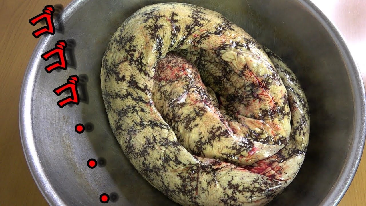 ウツボのポテンシャルを100 引き出す捌き方 離島の漁師のひとりごと