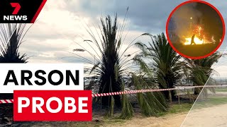 Arson probe underway after St Kilda’s famous palm trees go up in flames | 7 News Australia