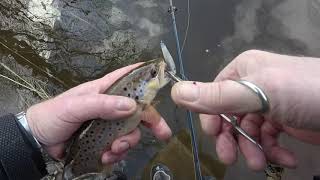 Видео после долгой паузы (автор: Юрий Большаков)
