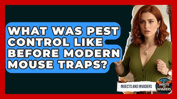 What Was Pest Control Like Before Modern Mouse Traps? - Insects and Invaders