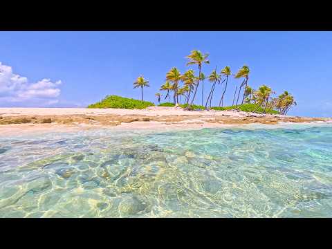 Sea Relaxation: 8 Hours at Gilligan's Island, Nassau, Bahamas