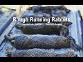 Rough Running Rabbits | Benson's Kennel Rough Running Rabbits | Benson's Kennel