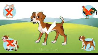 Tebak Bayangan Sambil Mengenal Hewan Dengan Cara Yang Seru, Sapi, Kucing, Anjing Dan Ayam screenshot 4