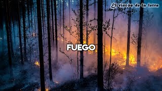 Barns Courtney - Fire ( Sub Español + Lyrics )