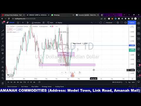 Tuesday Forex Forecast by Amanah Commodities