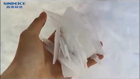 Large water cooling flake ice machine-Daily Output: 15T Bitzer compressor