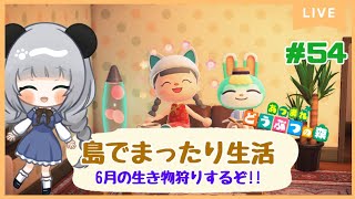 #54まだとってない６月の生物を乱獲したい☆のんびり島くらしをするのだ【＃あつまれどうぶつの森】