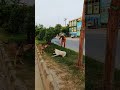 2 Dog 😂Mast Prank Funny dog #jamsheiifun #funny #funnyfacemask #dogprank