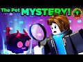 I Am TRAPPED In A Video Game! | Pet Mystery Simulator (Roblox)