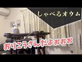 【お喋り】いつものお喋り