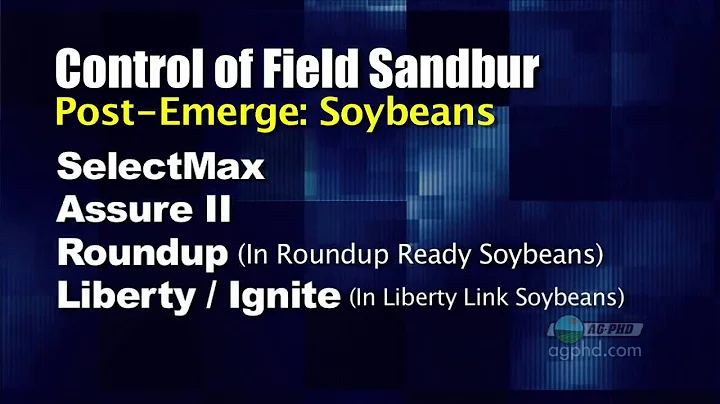 Weed of the Week #637-Field Sandbur (From Ag PhD #637 6/20/10)
