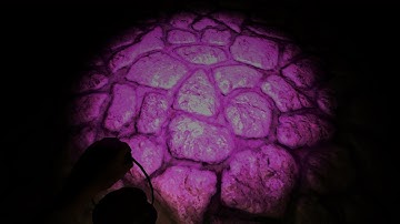 Amnesia Tricky Minds - Chapter 1 [Full Walkthrough] English Version