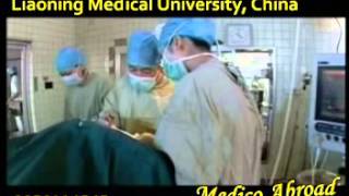 Liaoning Medical University Affilliated Hospitals & Clinical Schools